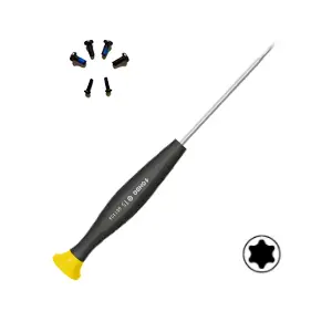 Torx Screwdriver & Screws  